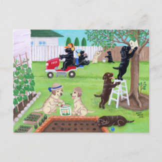 Söndag Roligt Labradors Painting Vykort