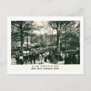 Söndag vid Vintagen Bronx Zoo Vykort