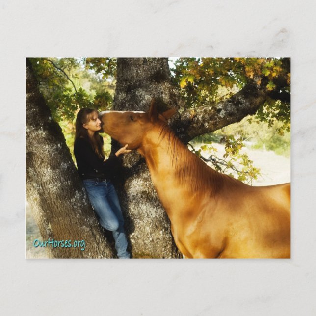 Sönderviskkort Vykort (Framsida)