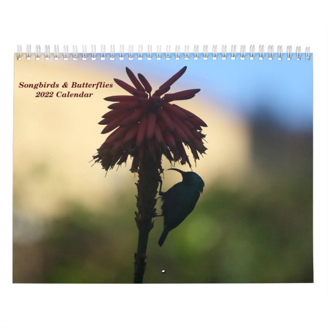 Songbird & Butterflies 2022 Calendar Kalender (Omslag)