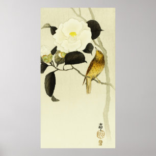 Songbird & Camelia Poster