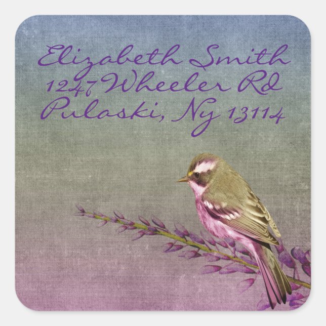 Songbird Fyrkantigt Klistermärke (Framsida)