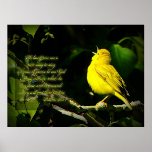 Songbird inspirational Poster