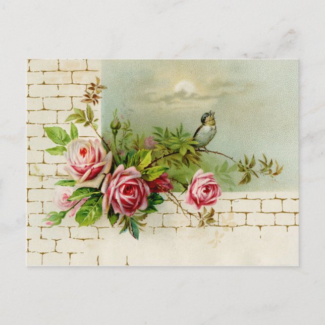 Songbird och Ro vykort (Framsida)