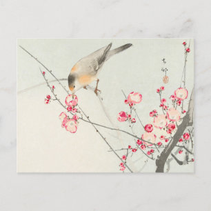 Songbird on Blommar Gren Painting by Ohara Koson Vykort