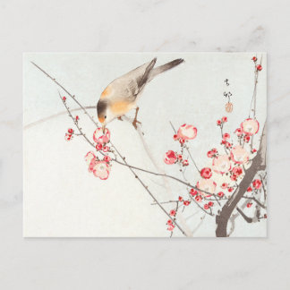 Songbird på blommar gren - Ohara Koson - Art Vykort