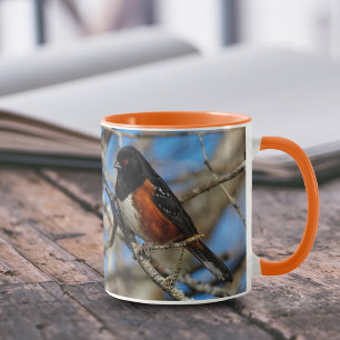 Songbird på Gren Mugg
