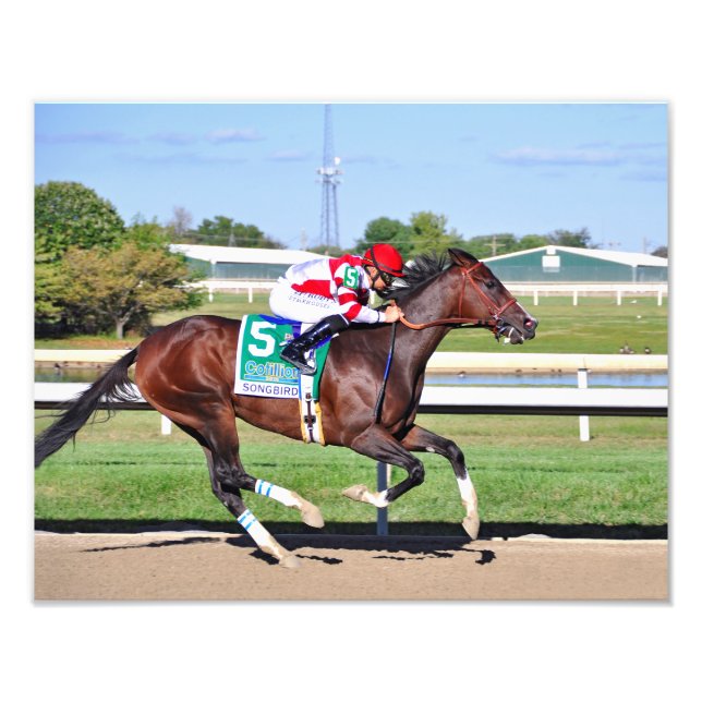 Songbird & Smith Fototryck (Framsidan)
