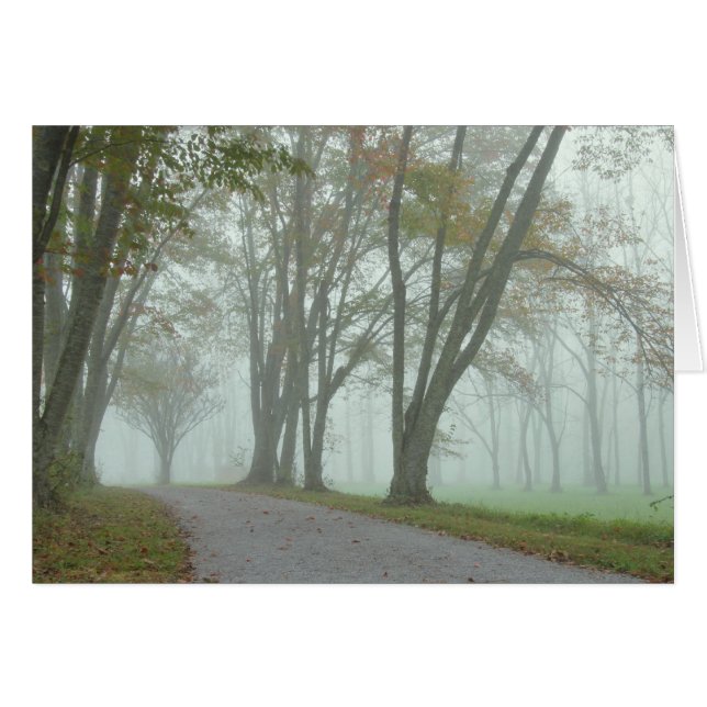 Songbirdslinga Hälsningskort (Framsidan Horizontal)