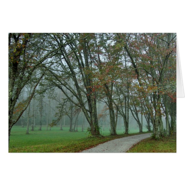 Songbirdslinga II Hälsningskort (Framsidan Horizontal)