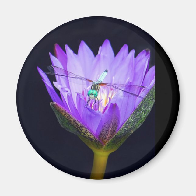 Sonia Vild Magnet (Framsidan)