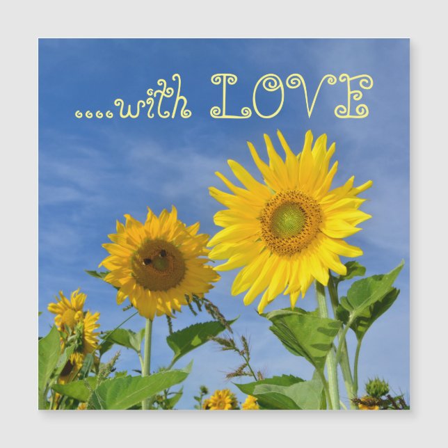 Sonnenblumen für Dich ... (Framsida)