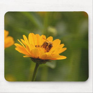 Sonnenblumen mit Biene Musmatta