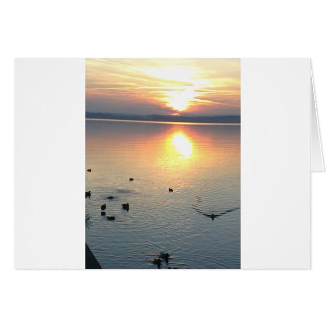 Sonnenuntergang am Se mit Enten Hälsningskort (Framsidan Horizontal)