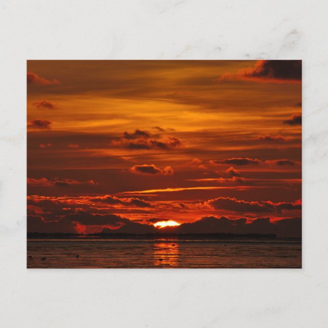 Sonnige Urlaubsgrüße mit schönem Sonnenuntergang Vykort (Framsida)