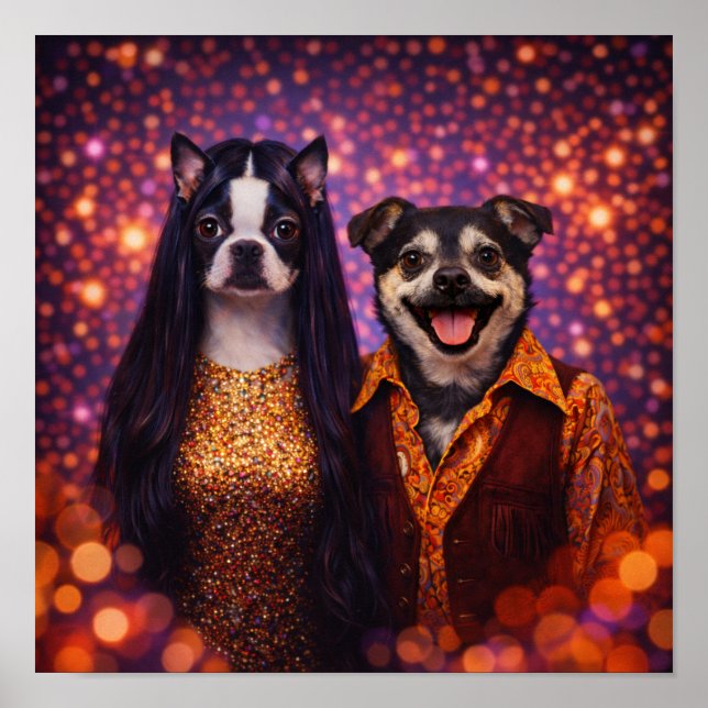 "Sonny & Cher" Poster (Framsidan)