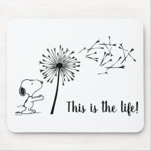 Sono med Dandelion Musmatta
