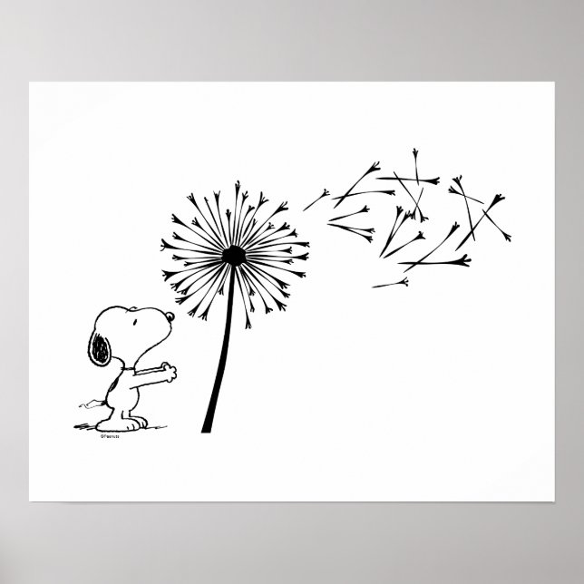 Sono med Dandelion Poster (Framsidan)