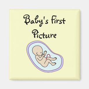 "Sonogram" magnet