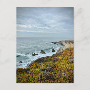 Sonoma Coast State Park, Kalifornien Vykort
