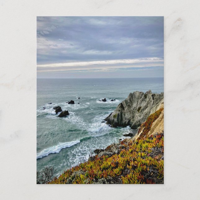 Sonoma Coast State Park, Kalifornien Vykort (Framsida)