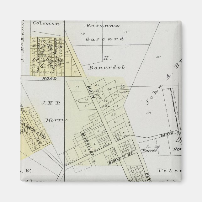 Sonoma County, California 12 Magnet (Framsidan)