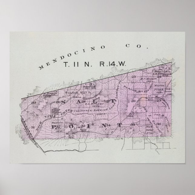 Sonoma County, California 36 Poster (Framsidan)