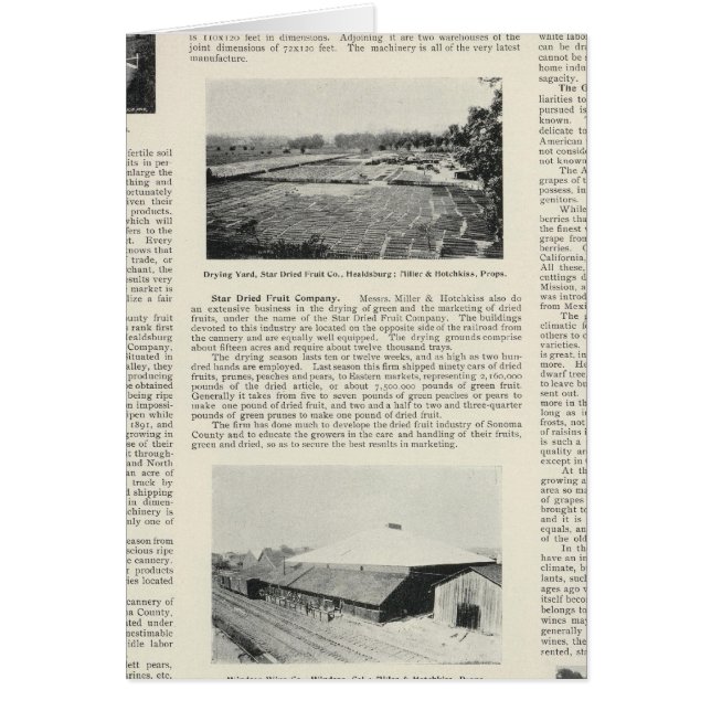 Sonoma County, California Hälsningskort (Framsidan)