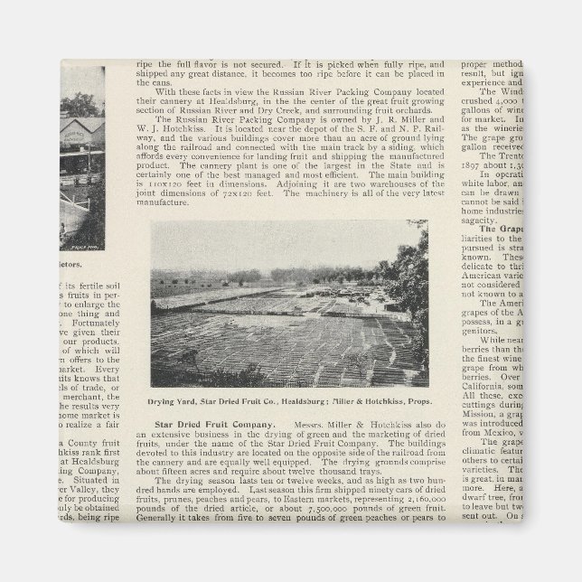 Sonoma County, California Magnet (Framsidan)