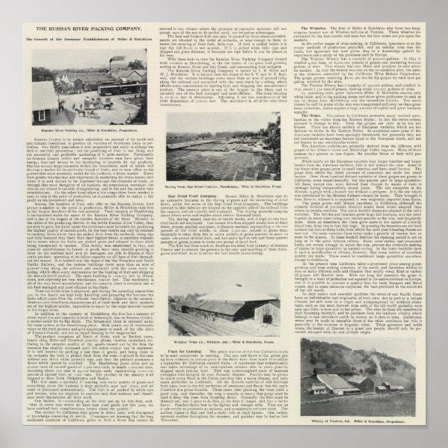 Sonoma County, California Poster (Framsidan)