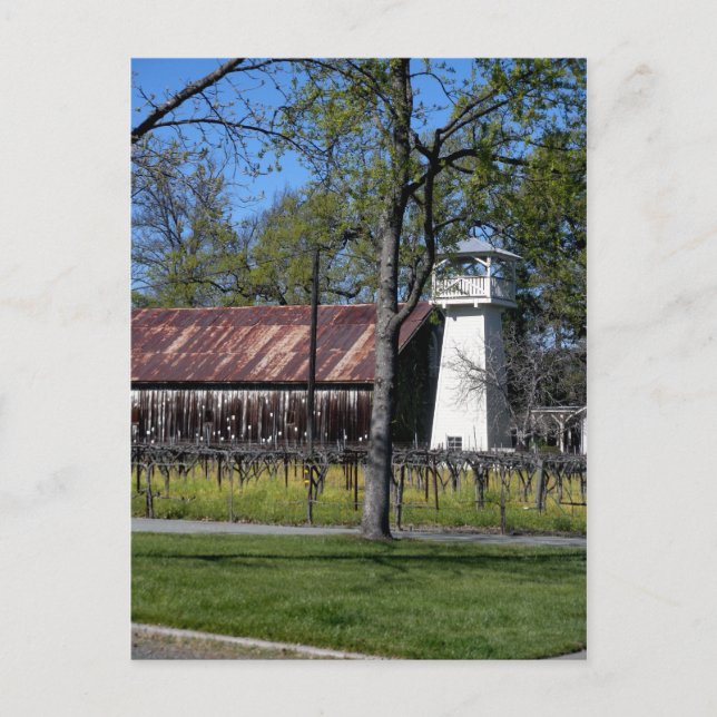 Sonoma County, California Vykort (Framsida)