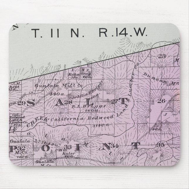 Sonoma County, Kalifornien 36 Musmatta (Framsidan)