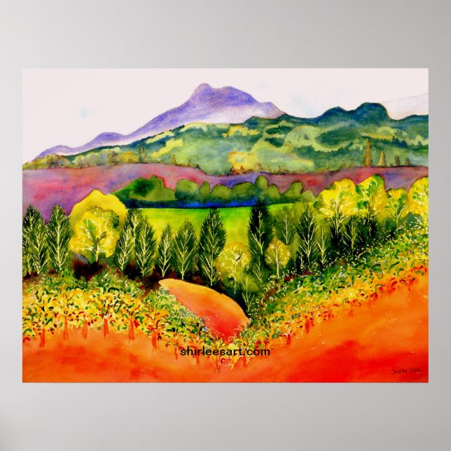 Sonoma County Vineyard Poster (Framsidan)