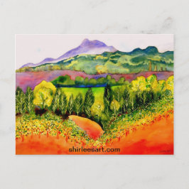 Sonoma County Vineyard Vykort