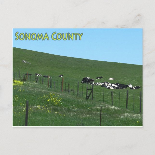 Sonoma County vykort (Framsida)