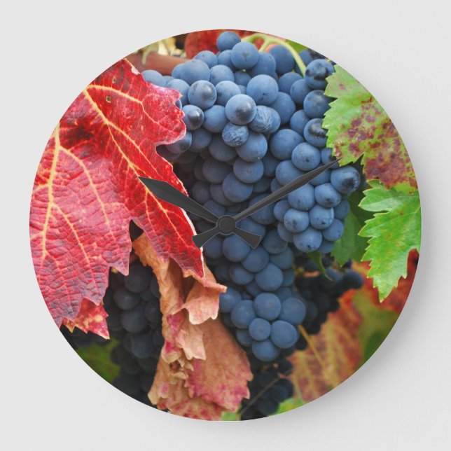 Sonoma i nedgången stor klocka (Framsida)