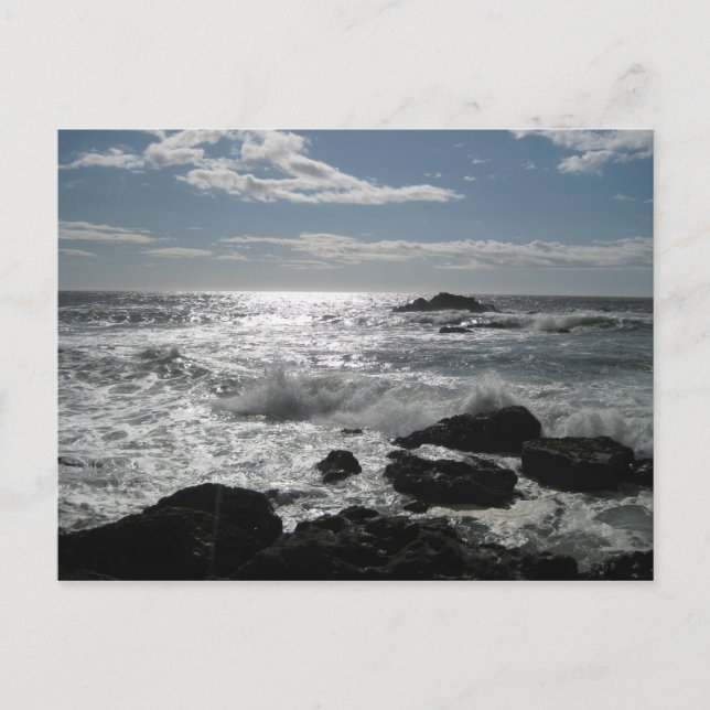 Sonoma Kusten, Bodega, Ca Blank Vykort (Framsida)