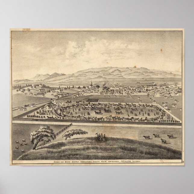 Sonoma och Marin District Agricultural Society Poster (Framsidan)