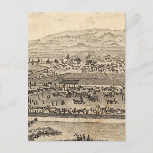 Sonoma och Marin District Agricultural Society Vykort (Framsida)