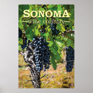 Sonoma Vin Land Poster