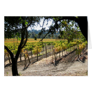Sonoma Vineyard Hälsningskort