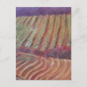 Sonoma Vineyards California vin Vykort