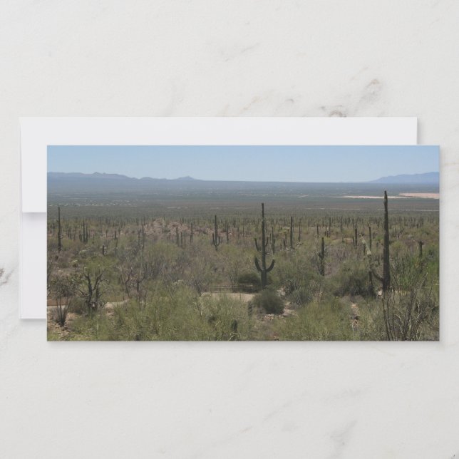 Sonora Desert Museum (Framsida)