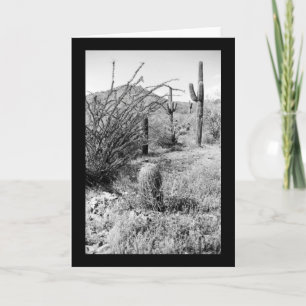 Sonoran Cacti Desert Garden Photo Greeting Card Kort