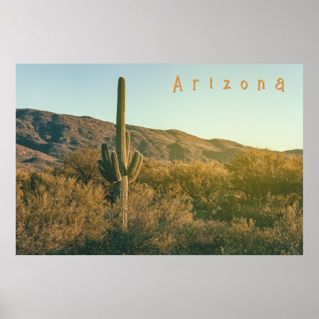 Sonoran Desert Arizona Poster (Framsidan)