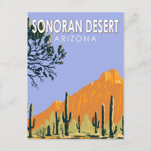 Sonoran Desert Arizona Vintage Art Vykort