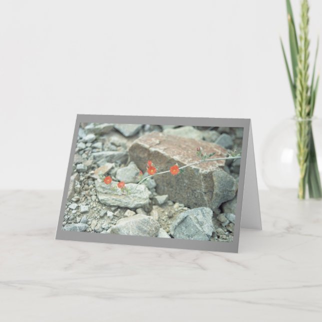 Sonoran Desert Blommars Greeting Card eller Note C Kort (Framsida)