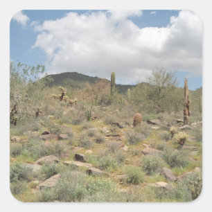 Sonoran Desert Cactus Anpassningsbar Sticker Decal Fyrkantigt Klistermärke