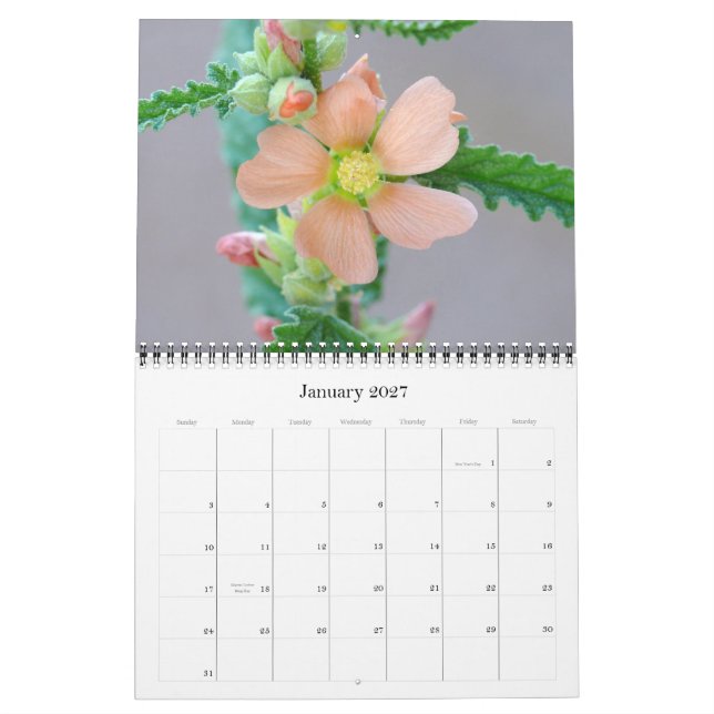 Sonoran Desert Calendar för 2008 Kalender (Jan 2027)