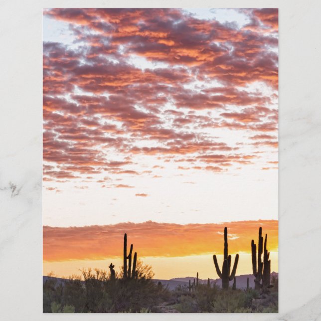 Sonoran Desert Colorful Sunrise Morgon (Framsida)